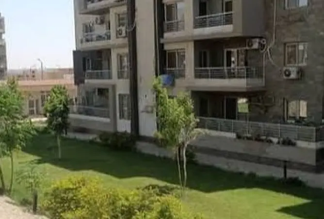 119326138 - Property Image 3