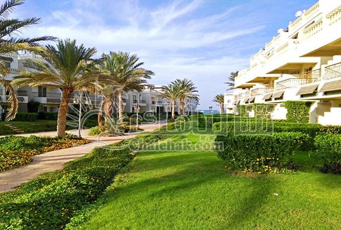 65921110 - Property Main Image