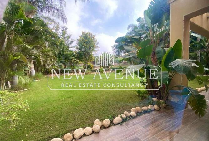 8655934 - Property Image 3