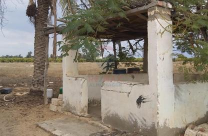 مزرعة - استوديو للبيع في طريق مصر اسكندرية الصحراوي - مدينة 6 أكتوبر - الجيزة