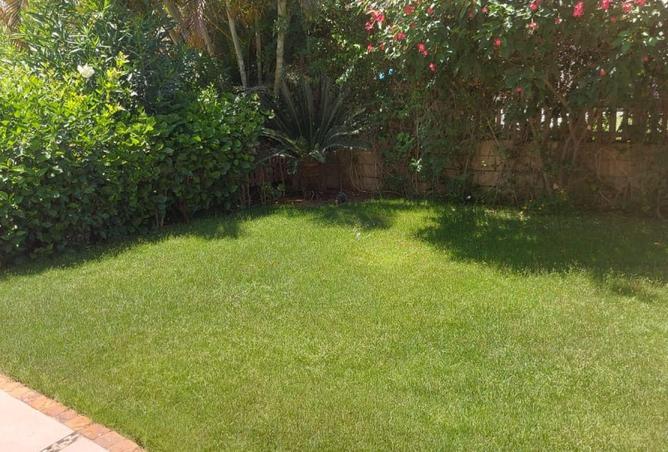 56505114 - Property Main Image