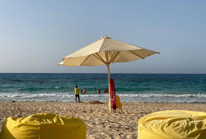 68791827 - صورة العقار 3