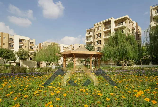 113260023 - صورة العقار 3