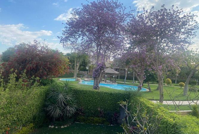 54242625 - Property Image 2