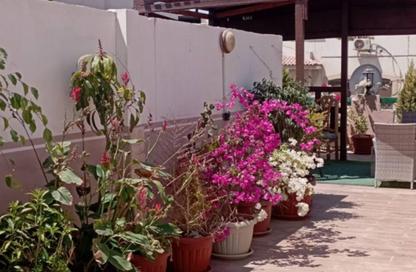 Apartment - 3 Bedrooms - 3 Bathrooms for sale in Zizinia Gardens - Ext North Inves Area - New Cairo City - Cairo