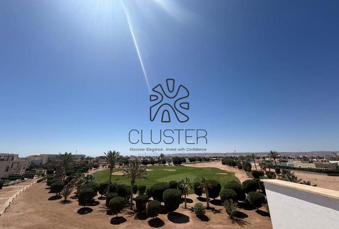 66423855 - صورة العقار 2