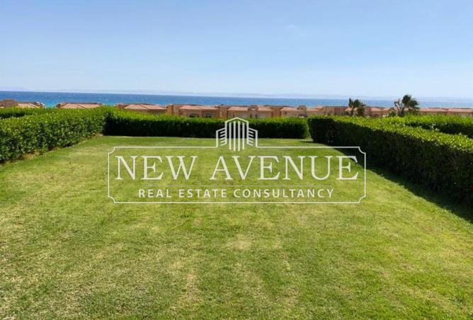 62891552 - صورة العقار 2