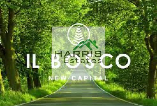 8700076 - صورة العقار 2