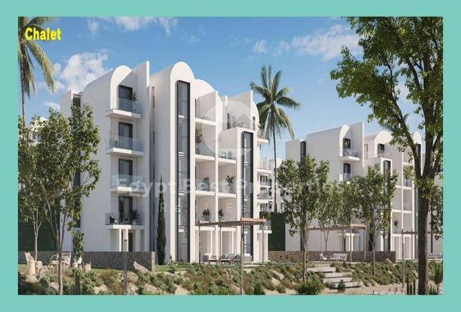 77611867 - Property Image 3