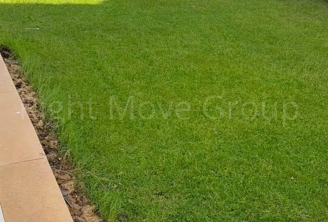 117537293 - صورة العقار 3