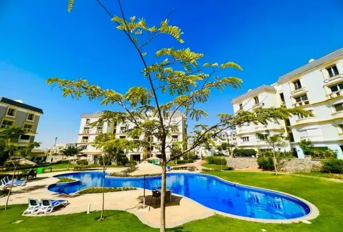 118546128 - Property Image 2