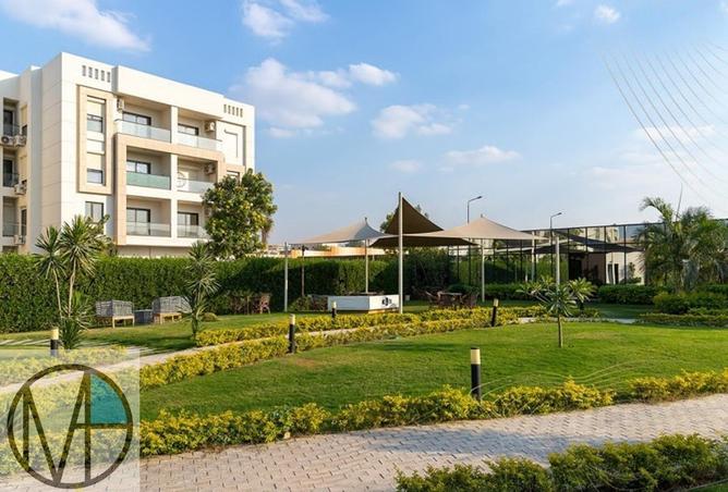 53730348 - Property Image 3