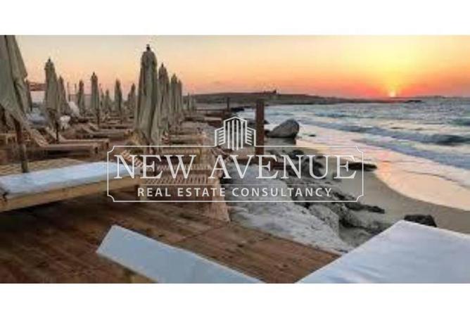 61201003 - Property Image 3