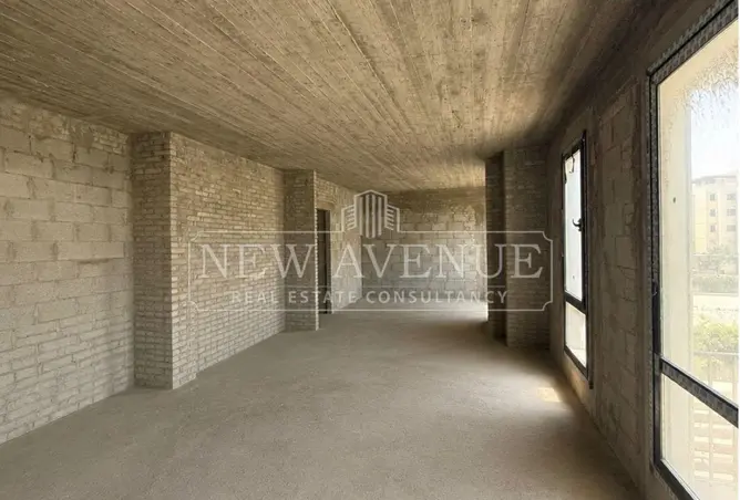 113257213 - Property Image 3