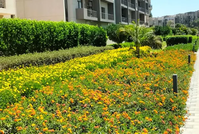 110474193 - صورة العقار 2