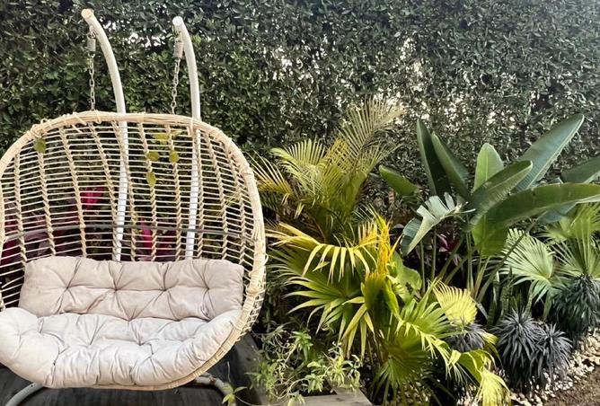 55252314 - صورة العقار 3