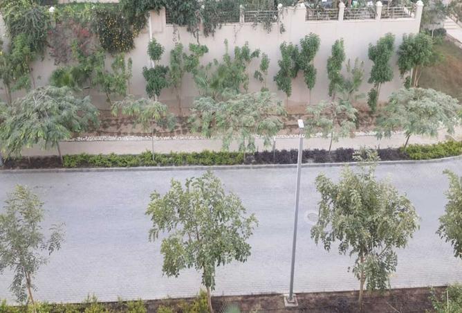 8411293 - Property Image 3