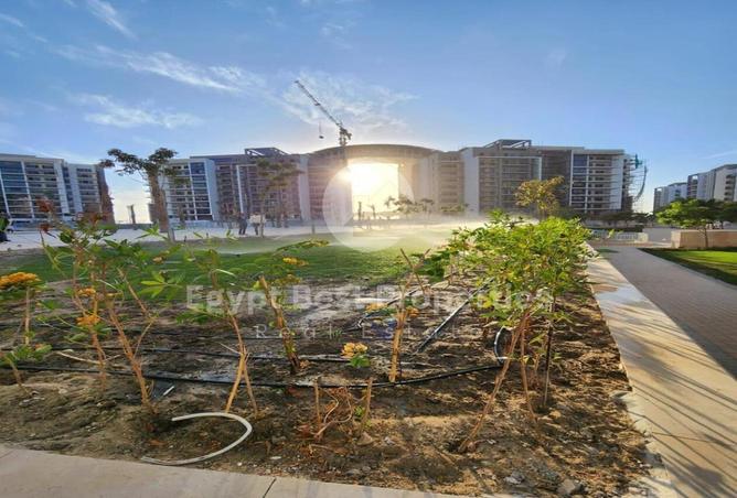 61449351 - صورة العقار 3