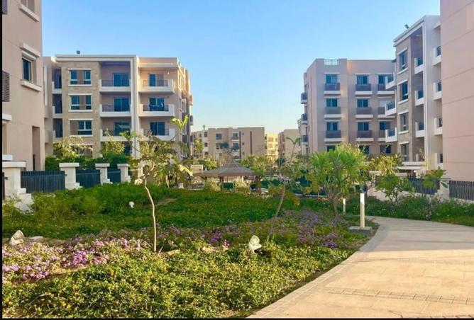 68776550 - Property Image 3