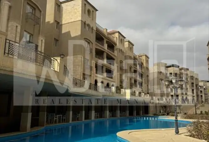 120356993 - Property Image 3
