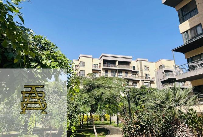 52188506 - صورة العقار 2