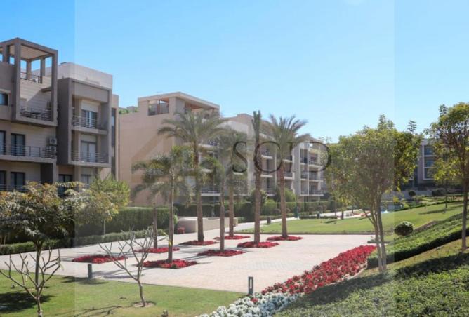 80273808 - صورة العقار 2