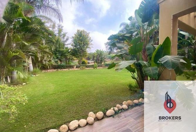 62649806 - Property Image 3