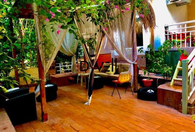 8406380 - الصورة الرئيسية للعقار