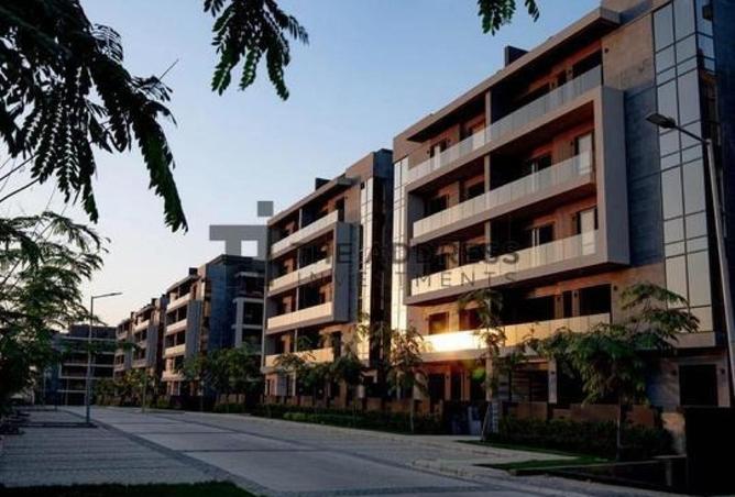 54756795 - Property Image 3