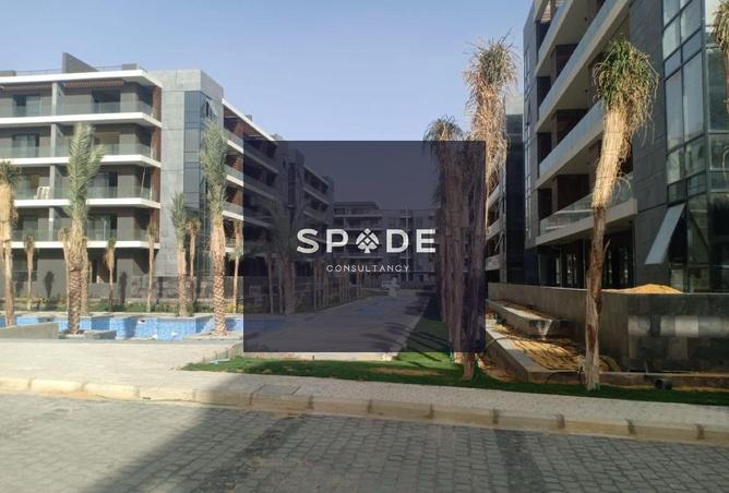 8585977 - Property Image 2