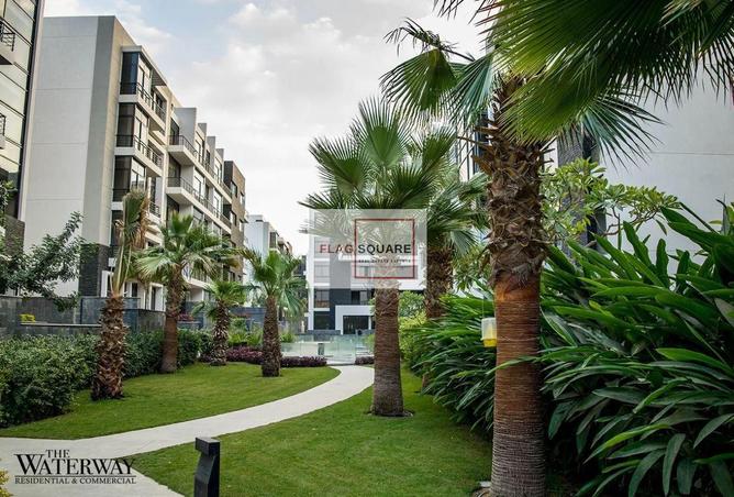 8541667 - Property Image 3