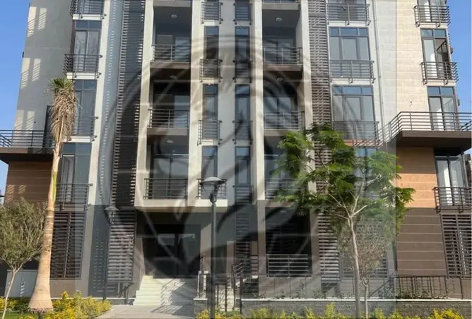 118537371 - Property Image 2