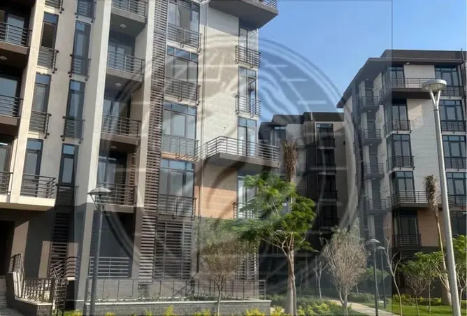 118537371 - Property Image 3