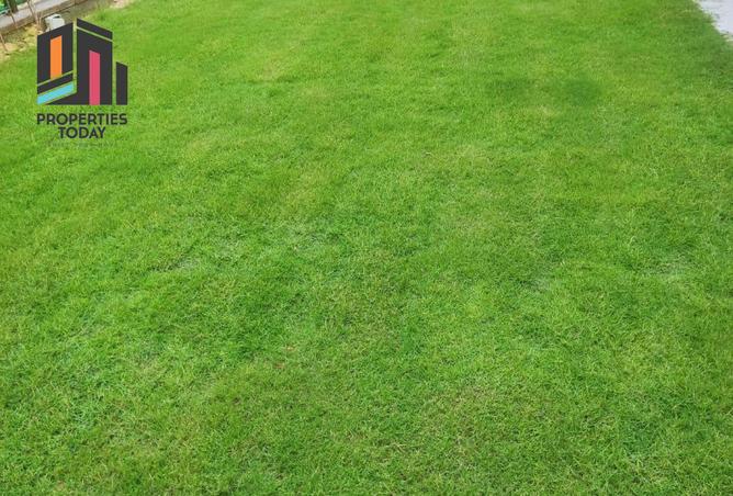 70357960 - Property Image 3