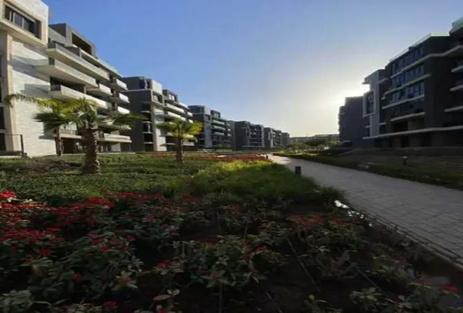 111024314 - Property Image 3