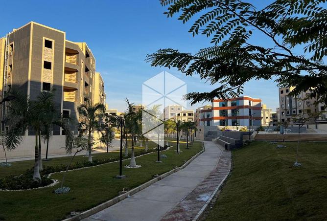 8610250 - صورة العقار 3