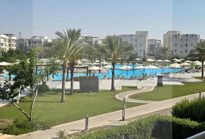 79987796 - صورة العقار 3