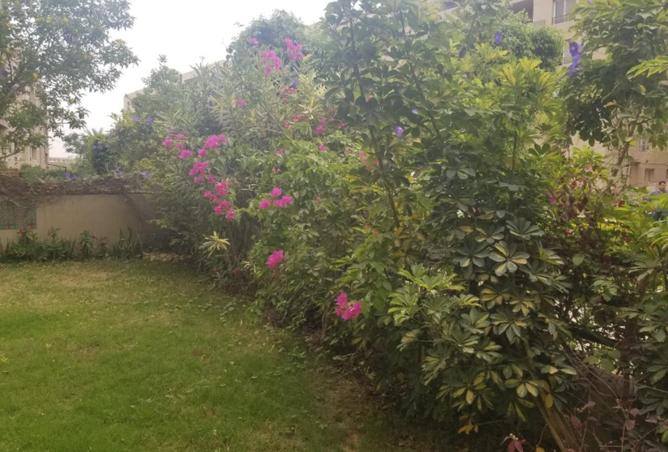 61680240 - الصورة الرئيسية للعقار