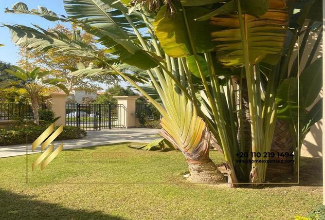 65913271 - Property Image 3