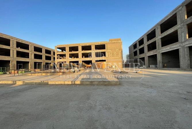 98838987 - Property Image 2