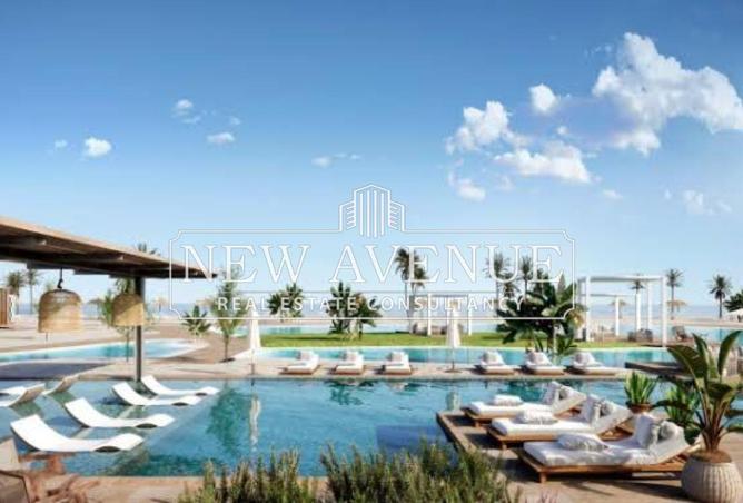 70356780 - Property Image 2