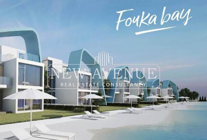 70356780 - Property Image 3