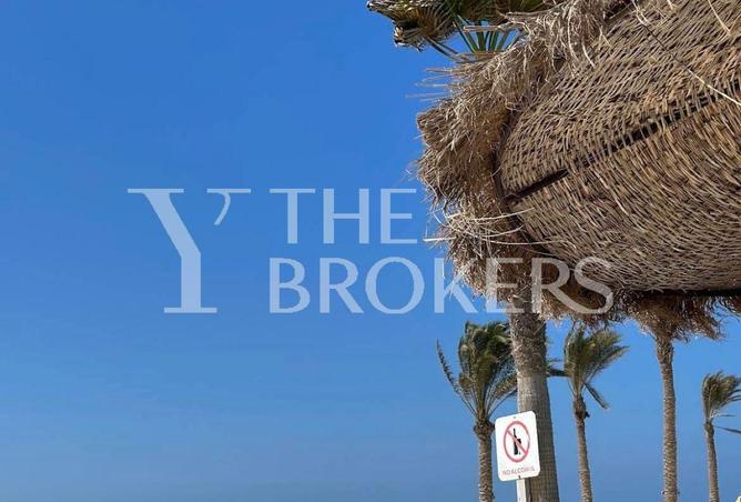 52184803 - صورة العقار 2