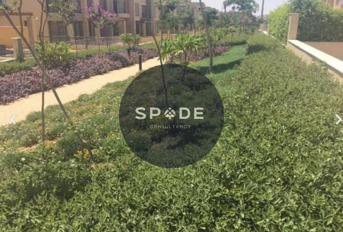 55498530 - صورة العقار 3