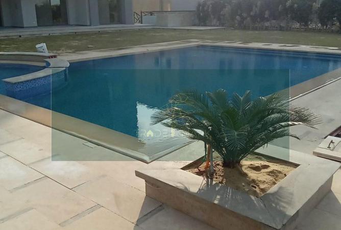 104047264 - Property Image 2