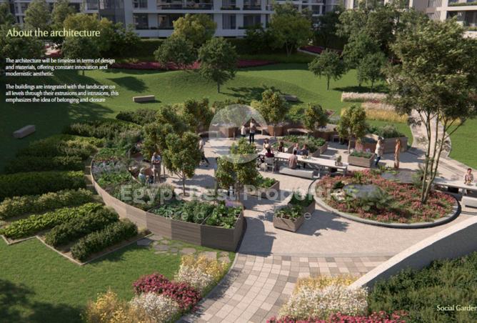 8488534 - Property Image 3