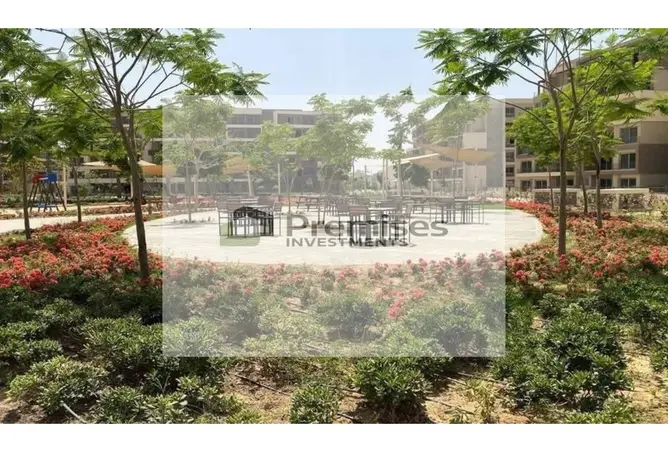 106022082 - Property Image 3