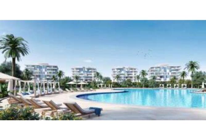 103193859 - Property Image 3