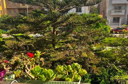 Apartment - 3 Bedrooms - 3 Bathrooms for sale in Orouba Axis - Area A - Ganoob El Acadimia - New Cairo City - Cairo