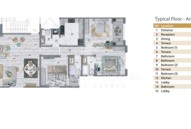 8584250 - Property Image 3